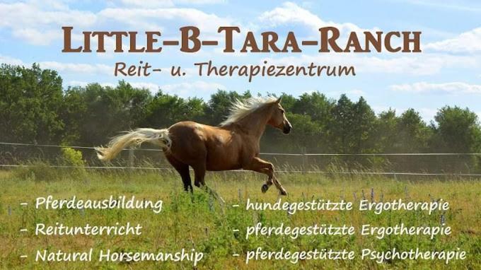 Martinsgarten Angermunde Esterno foto